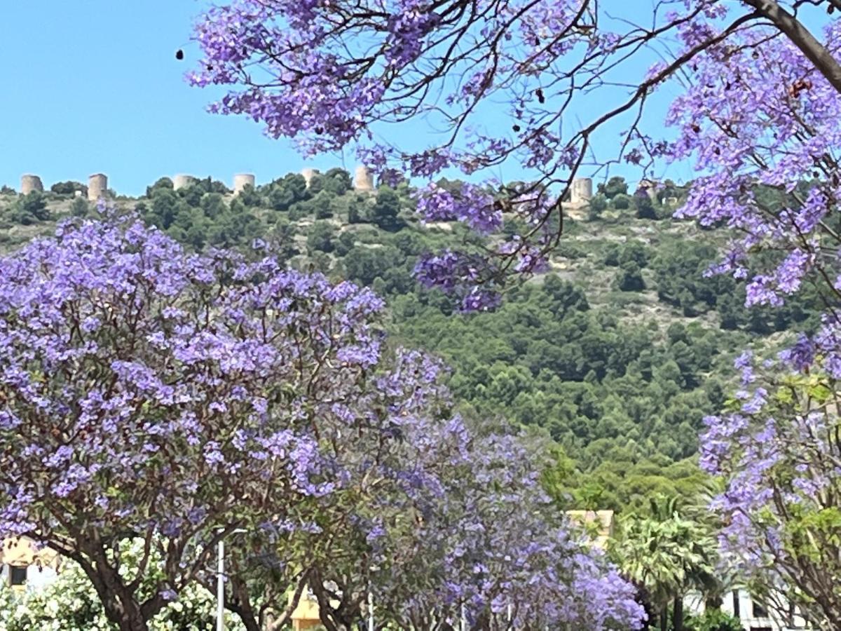 Apartment Nearby Beach And Old Town Jávea Екстериор снимка